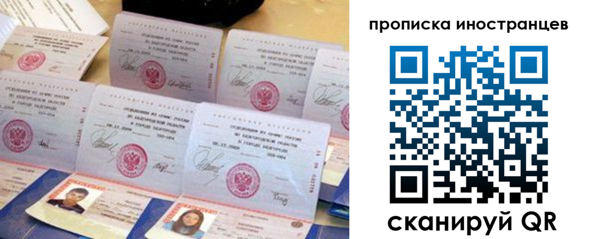 прописка для школы в Щиграх
